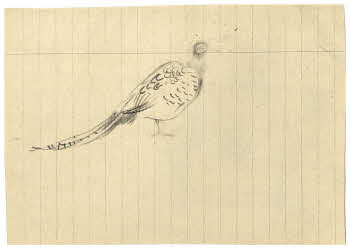 Visualizza l'immagine "FD D 197"